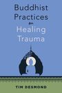 Tim Desmond: Buddhist Practices for Healing Trauma, Buch