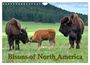 Dieter Wilczek: Bisons of North America (Wall Calendar 2025 DIN A4 landscape), CALVENDO 12 Month Wall Calendar, KAL