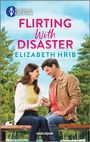 Elizabeth Hrib: Flirting with Disaster, Buch