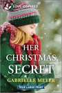 Gabrielle Meyer: Her Christmas Secret, Buch