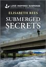 Elisabeth Rees: Submerged Secrets, Buch