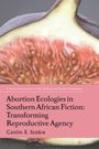 Caitlin E. Stobie: Abortion Ecologies in Southern African Fiction: Transforming Reproductive Agency, Buch