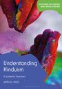 James D Holt: Understanding Hinduism, Buch