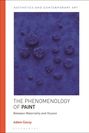 Adam Geczy: The Phenomenology of Paint, Buch