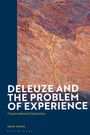 Dror Yinon: Deleuze and the Problem of Experience, Buch