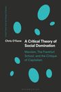Chris O'Kane: A Critical Theory of Social Domination, Buch