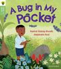 Basirat Razaq-Shuaib: Oxford Reading Tree Green Sparks: Level 5: A Bug in My Pocket, Buch