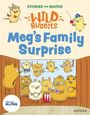 Laura Warminger: Stories for Maths: Meg's Family Surprise, Buch