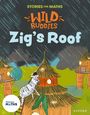 Giles Clare: Stories for Maths: Zig's Roof, Buch