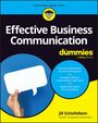 Schiefelbein: Effective Business Communication For Dummies, Buch