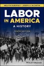 Melvyn Dubofsky: Labor in America, Buch