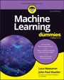 Luca Massaron: Machine Learning for Dummies, Buch
