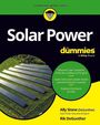 Ally Stone: Solar Power for Dummies, Buch