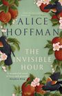 Alice Hoffman: The Invisible Hour, Buch