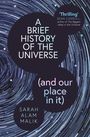 'A Brief History of the Universe (and our place in it)' von Sarah Alam Malik; spannender Kommentar von Sean Carroll. Kreismuster.