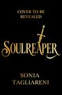 Sonia Tagliareni: Soulreaper, Buch