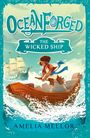 Amelia Mellor: The Wicked Ship, Buch