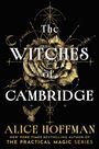 "The Witches of Cambridge," Alice Hoffman. Schwarzer Hintergrund, goldene und weiße Illustrationen einer Rose und magischer Symbole.