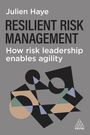 Julien Haye: Resilient Risk Management, Buch