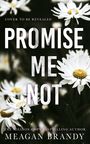 Meagan Brandy: Promise Me Not, Buch