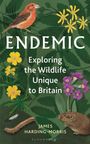 James Harding-Morris: Endemic, Buch