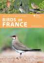 James Lowen: Birds of France, Buch