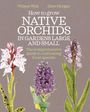 Dave Morgan: How to Grow Native Orchids in Gardens Large and Small, Buch