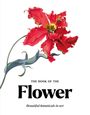 „The Book of the Flower: Beautiful botanicals in art.“ Illustration mit einer roten, kunstvoll dargestellten Blume.