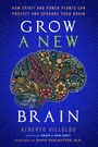 Alberto Villoldo: Grow a New Brain, Buch