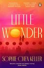 „LITTLE WONDER“ steht über einer Silhouette von zwei Menschen, die bei Sonnenuntergang über eine Linie mit Laternen spazieren.