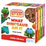 Peter Curtis: Little Library: The World of Dinosaur Roar!: What Dinosaur Am I? Slipcase, Buch