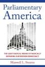 Maxwell L. Stearns: Parliamentary America, Buch