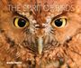 Text: "THE SPIRIT OF BIRDS" und "MARK SMITH". Großaufnahme eines Eulengesichts mit auffälligen gelben Augen.
