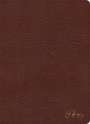 Holman Bible Staff: KJV Spurgeon Study Bible, Brown Bonded Leather, Buch