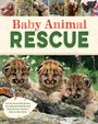 „Baby Animal Rescue“; „Get up close with photos...“; Oben kleine Tiere, unten drei junge Wildkatzen auf Felsen.