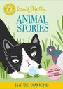 Jackie Walter: Reading Champion: Enid Blyton animal stories: The Big Diamond, Buch