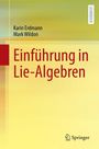 "Einführung in Lie-Algebren", Autoren: Karin Erdmann, Mark Wildon, Lehrbuch, gelber Hintergrund, Springer-Logo unten.