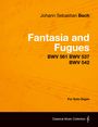 Johann Sebastian Bach: Fantasia and Fugues - BWV 561 BWV 537 BWV 542 - For Solo Organ, Buch