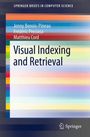 Jenny Benois-Pineau: Visual Indexing and Retrieval, Buch