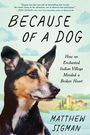 Matthew Sigman: Because of a Dog, Buch