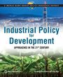 „Industrial Policy for Development: Approaches in the 21st Century“. Skyline einer Stadt und darunter Bananenstauden.