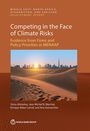 "Competing in the Face of Climate Risks" zeigt Wüstenlandschaft mit Skyline im Hintergrund. Autoren: Zeina Alsharkas, Jean Michel N. Marchat.