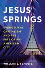 William J Schultz: Jesus Springs, Buch