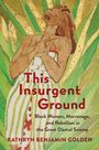 Kathryn Benjamin Golden: This Insurgent Ground, Buch