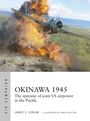 "Okinawa 1945" – Ein Flugzeug fliegt über einer Explosion, grünes Gelände darunter. Autor: James S. Corum. Illustration.