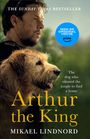 Mikael Lindnord: Arthur the King, Buch