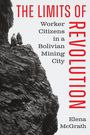 Elena McGrath: The Limits of Revolution, Buch