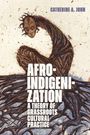 Catherine A. John: Afroindigenization, Buch