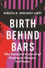 Rebecca M. Rodriguez Carey: Birth Behind Bars, Buch