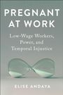 Elise Andaya: Pregnant at Work, Buch